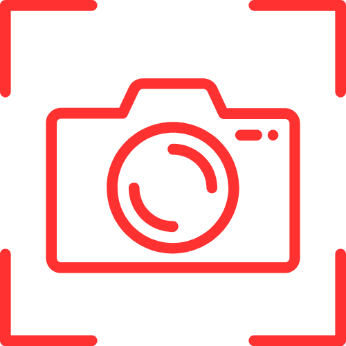 Free Porn Live Stream